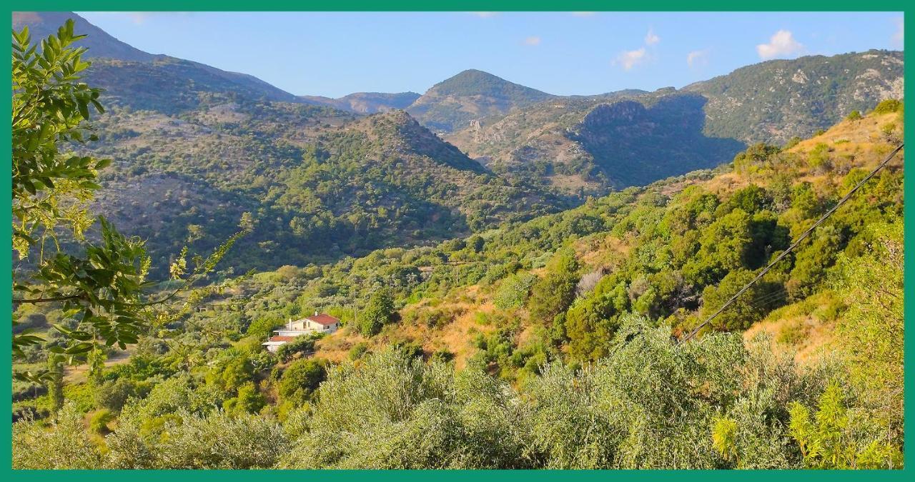 에브딜로스 Kampos View Ikaria 아파트 외부 사진