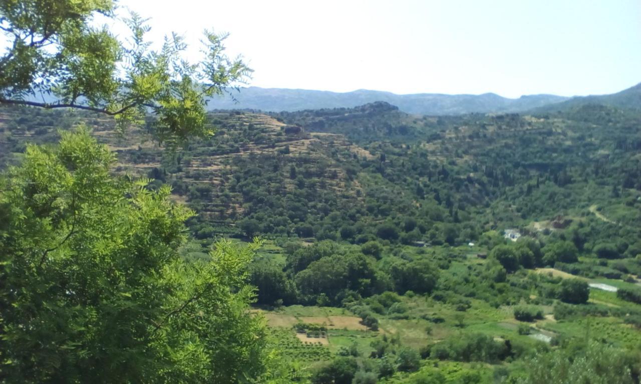 에브딜로스 Kampos View Ikaria 아파트 외부 사진